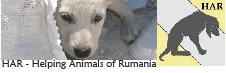HAR - Helping Animals of Romania